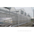 Commercial Greenhouse for Agriculture/Economical Greenhouse/Shading Greenhouse